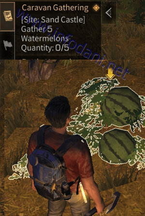 quest gather watermelons lifeafter